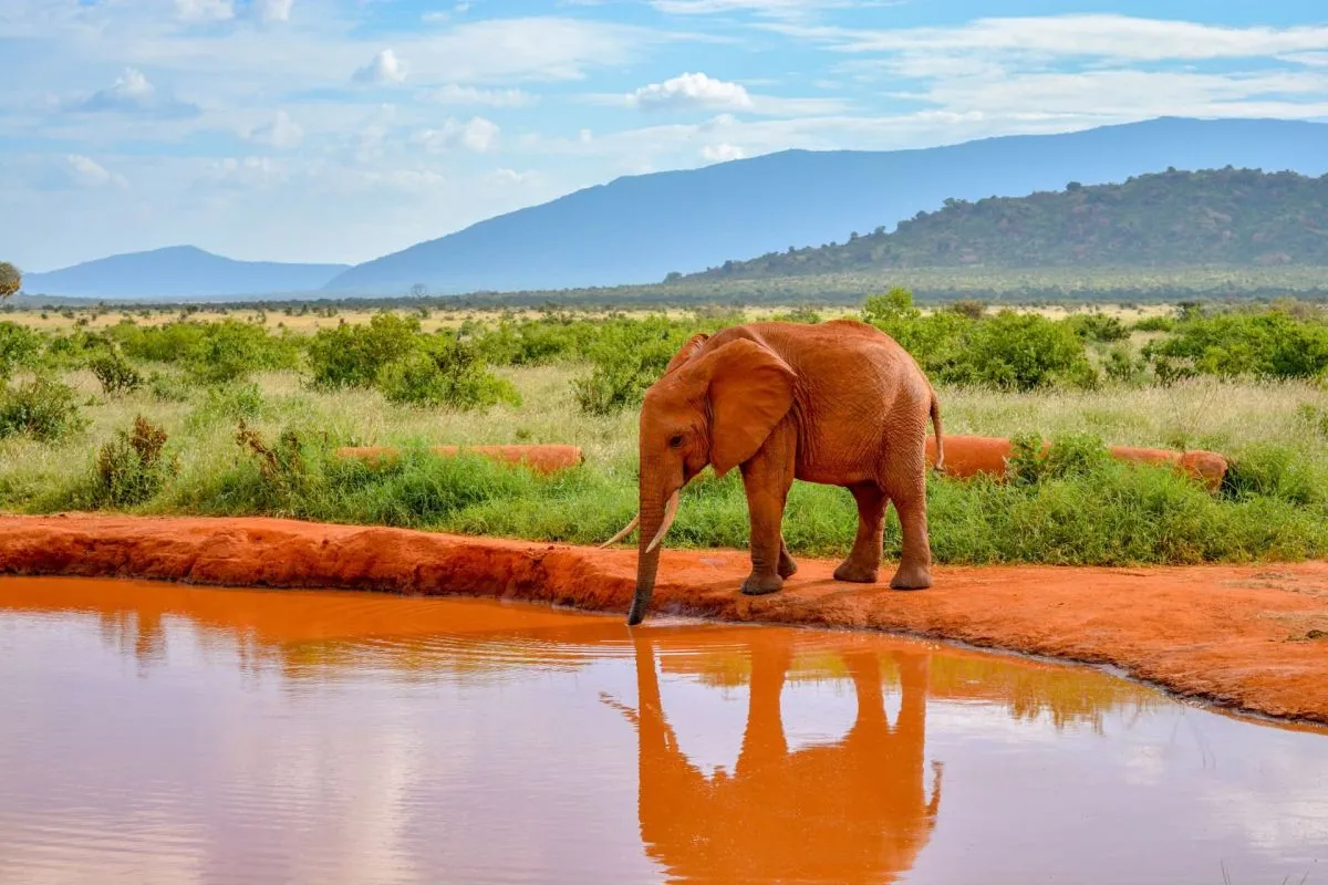 Kenia Urlaub online buchen